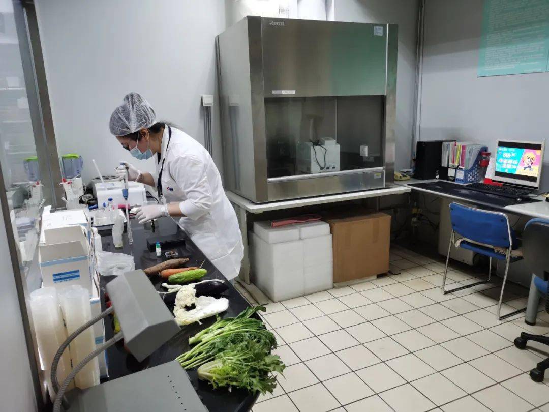 细水乡食品检测实验室装修方案